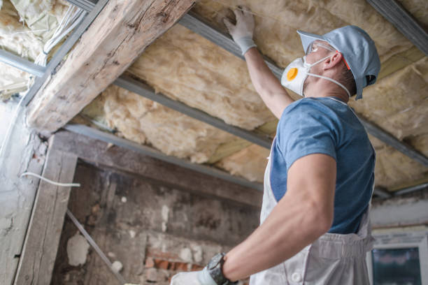Best Blown-in Insulation in Ome, GA