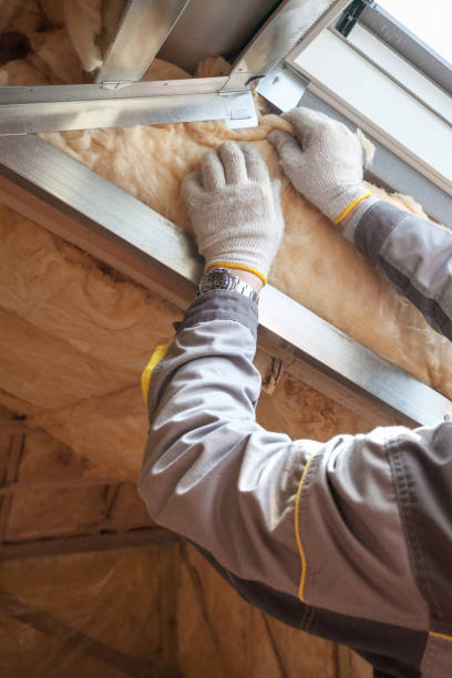 Trusted Omega, GA Insulation Contractor Experts