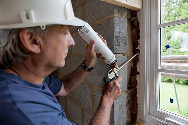 Best Geographic-Specific Insulation Services in Ome, GA