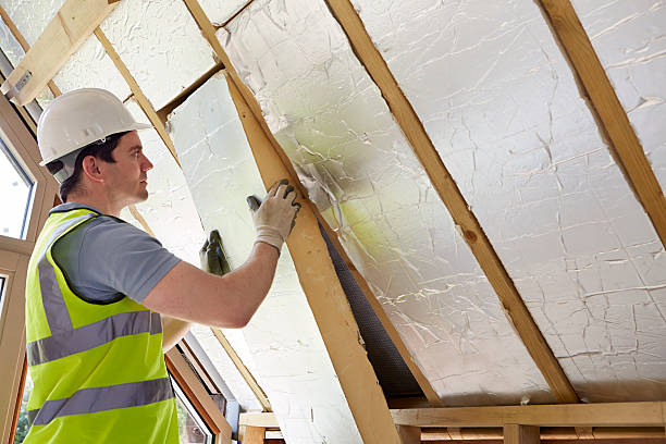 Best Insulation Maintenance and Repair in Ome, GA