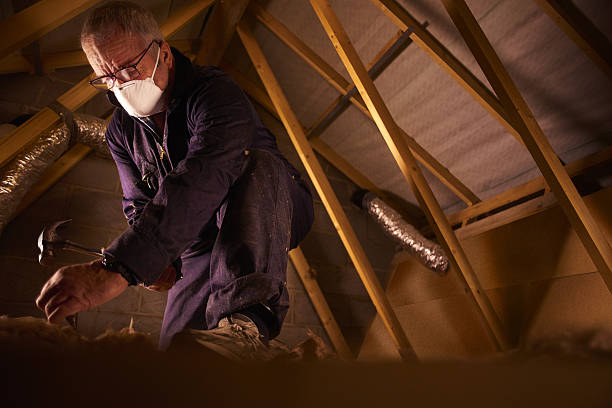 Best Energy Efficiency Insulation in Ome, GA